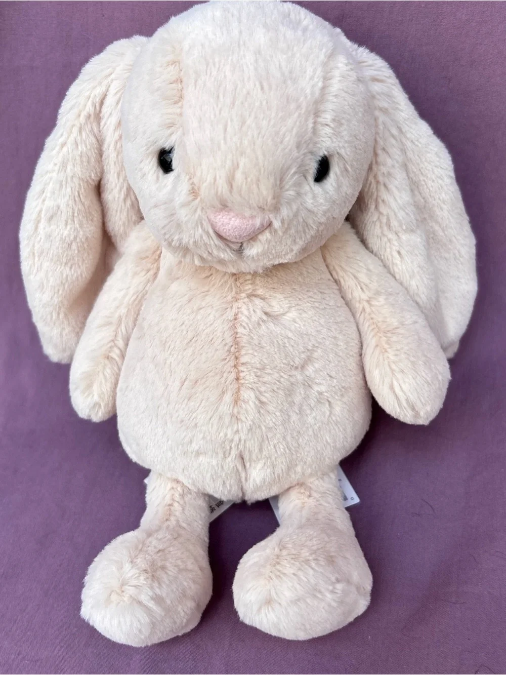 EXCLUSIVE Jellycat Bashful BUNNY JUNIOR in-hand Authentic NWT Shanghai creme